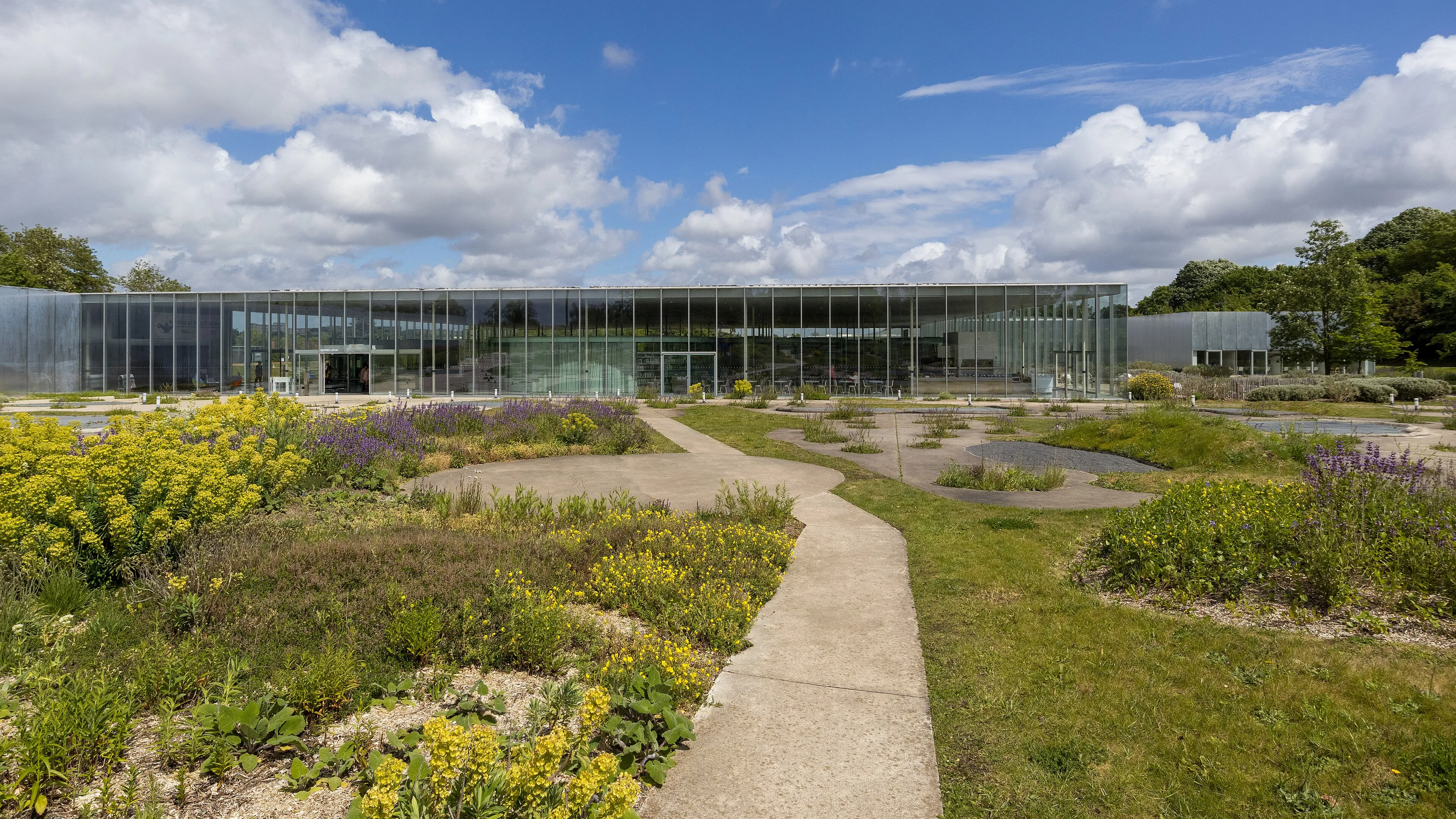 Le musée du Louvre-Lens, long bâtiment de verre au milieu de son parc