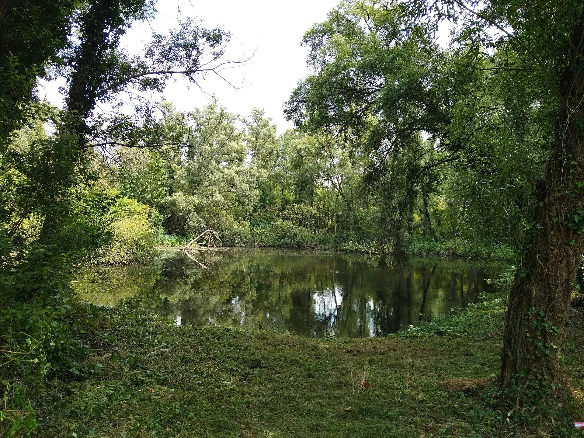 Étang bordé d'arbres dans les marais de la vallée de l'Ancre, à Heilly