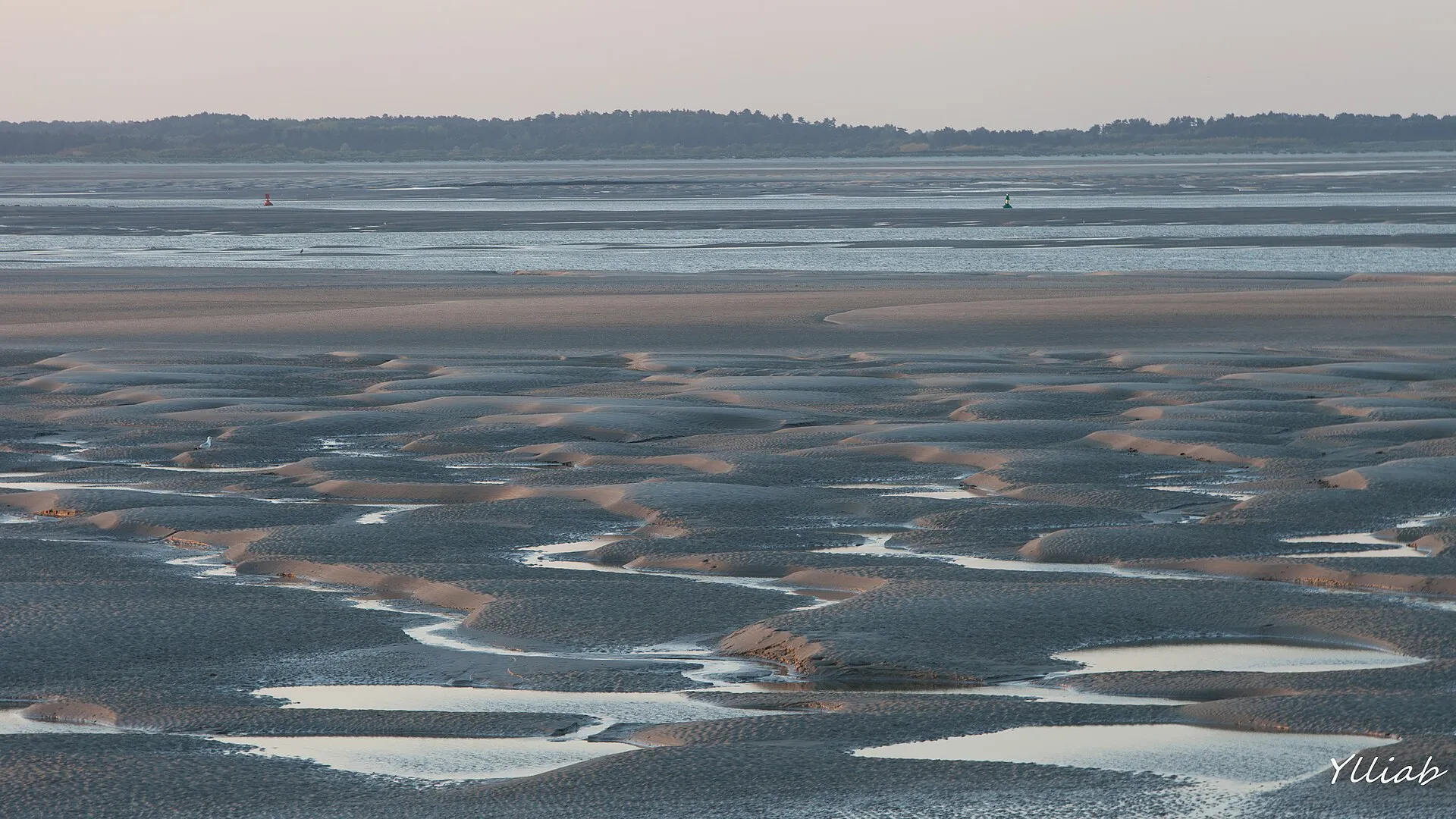 La baie de Somme à marée basse, bancs de sable et chenaux